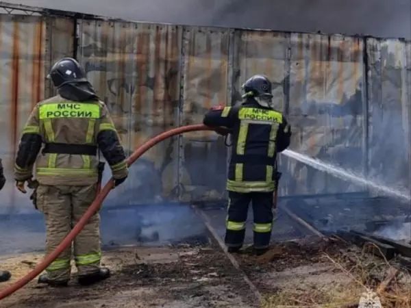 Фото к материалу: За сутки в Ростовской области потушили 26 пожаров