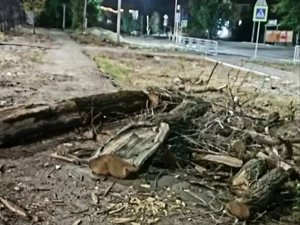 Фото к материалу: В Красном Сулине пятый день не убирают бревна с дороги возле школы