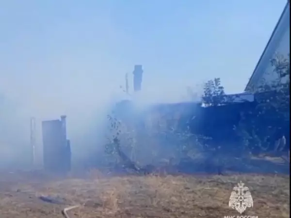 Фото к материалу: В Каменске-Шахтинском ландшафтный пожар перекинулся на частные дома