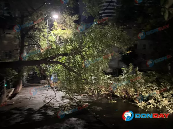 Фото к материалу: Из-за сильного ветра и дождя в Ростове упала громадная ветка