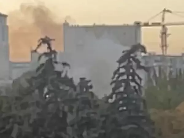 Фото к материалу: В парке Горького в Ростове разгорелся крупный пожар