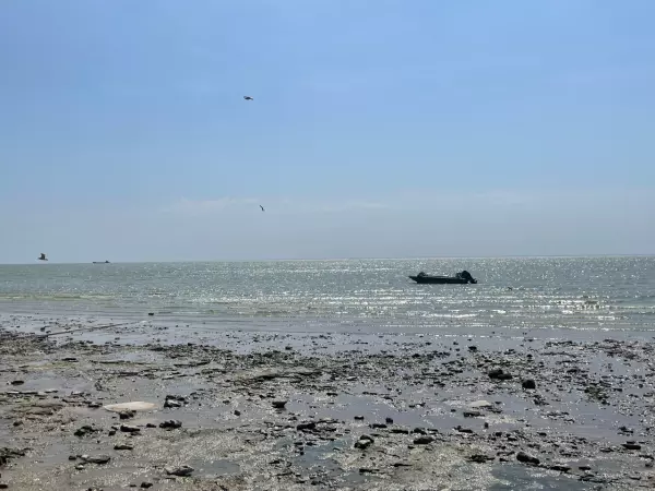 Фото к материалу: Уровень воды в Дону достиг неблагоприятных отметок днем 8 сентября