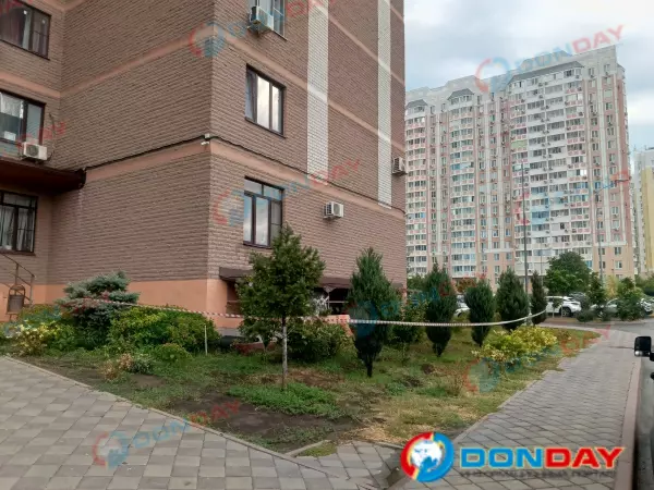 Фото к материалу: Не бросила котов: жительница Левенцовки не решилась покинуть дом во время атаки БПЛА