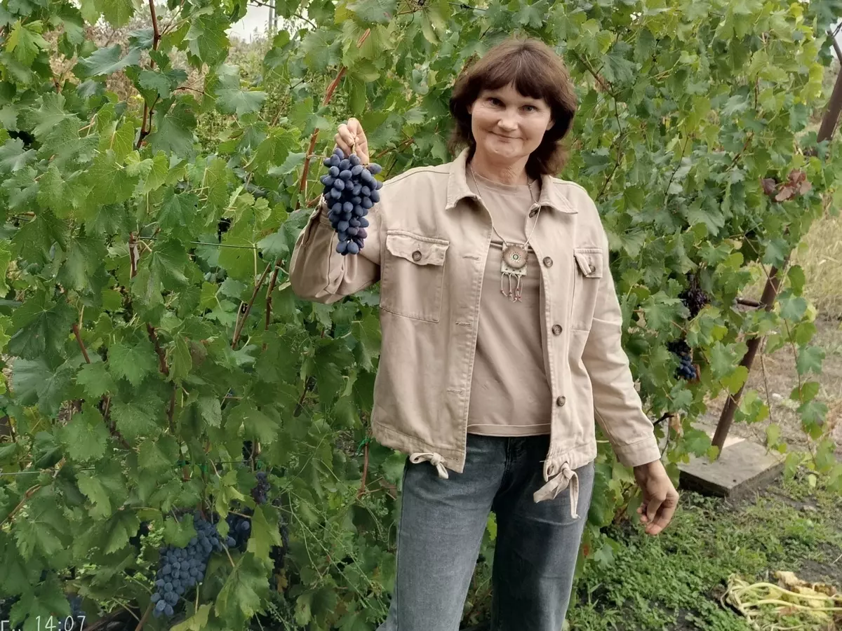 Дачница из Ростовской области рассказала, как правильно посадить виноград