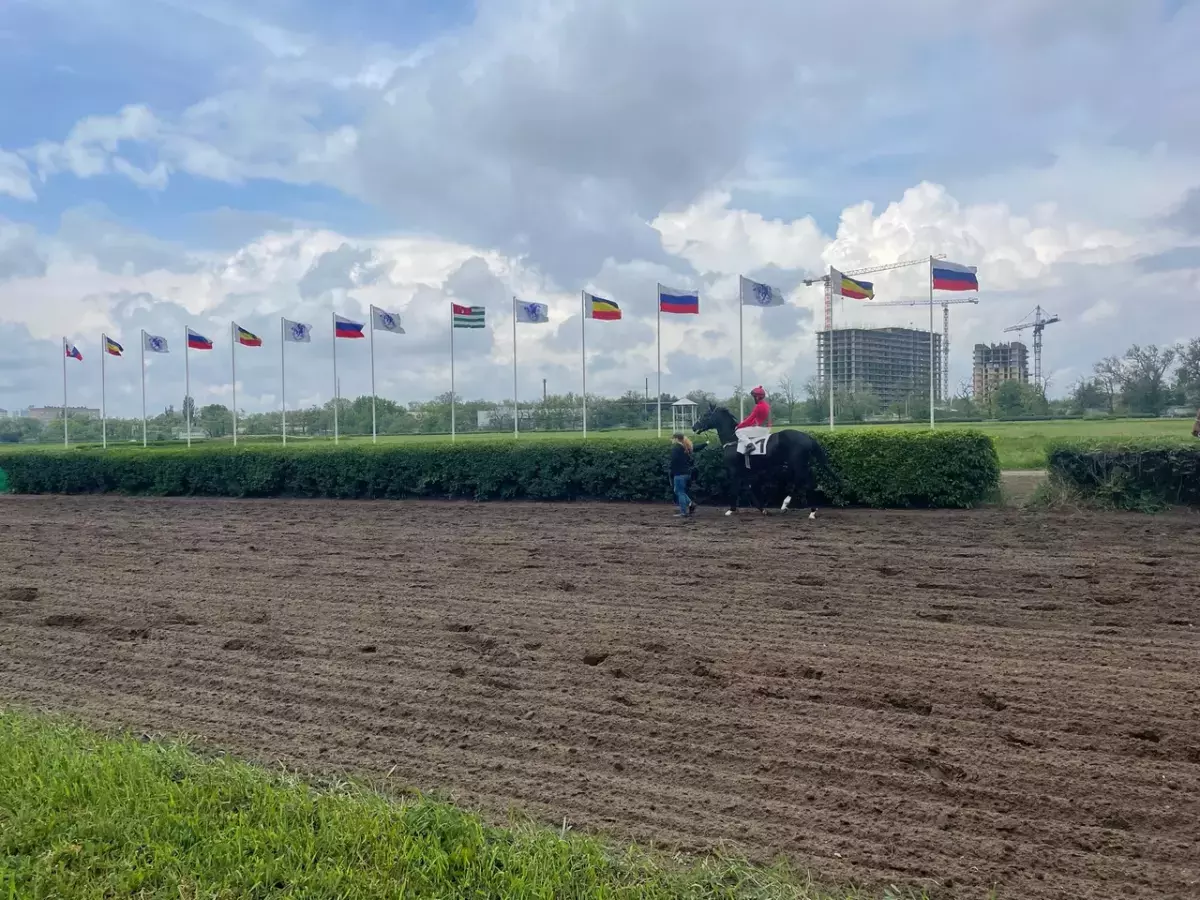 Ростовский ипподром могли продать за 8 млрд рублей