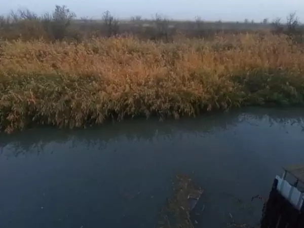 Под Ростовом зафиксировали очередной слив нечистот в ручей Быстрый