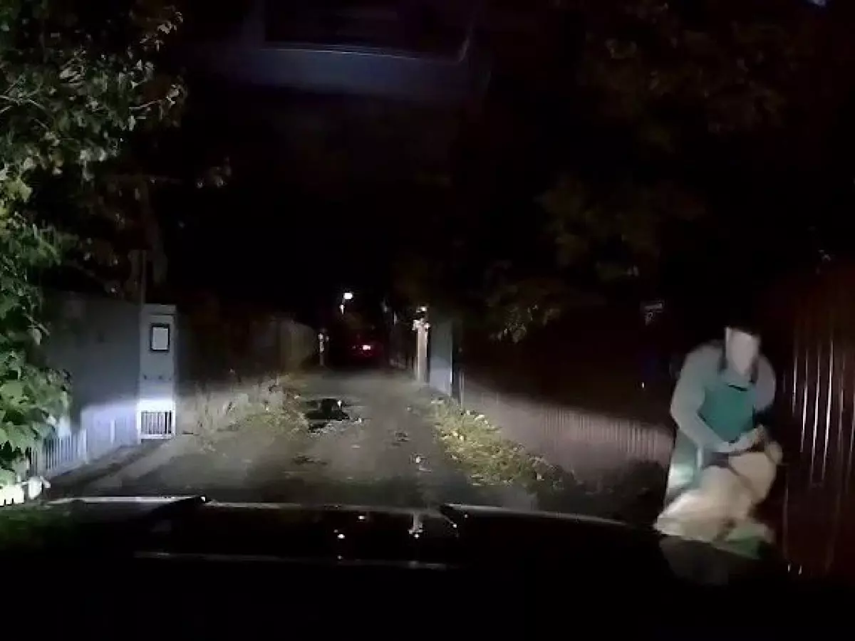 Разорвал лицо и откусил пальцы: в Ростове алабай напал на женщину