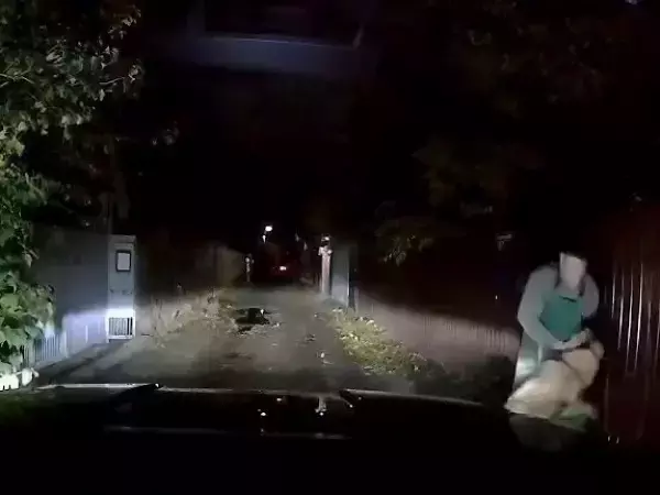 В Ростове усыпят собаку, напавшую на женщину во дворе