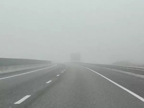 Водителей Ростовской области предупредили об опасности на дорогах из-за тумана