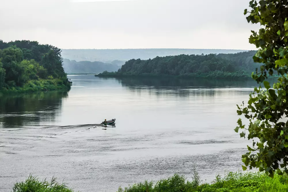 МТС усилила 4G в местах, где жил Нобелевский лауреат Михаил Шолохов