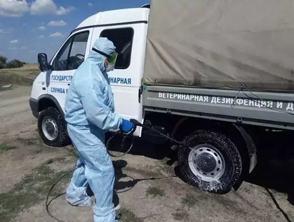 На севере Ростовской области спустя почти год сняли карантин по бешенству