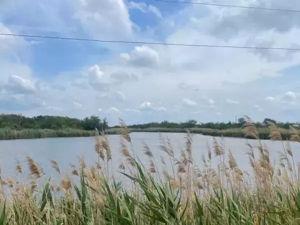 Минприроды повторно проверило ограничение доступа к пруду в Миллеровском районе