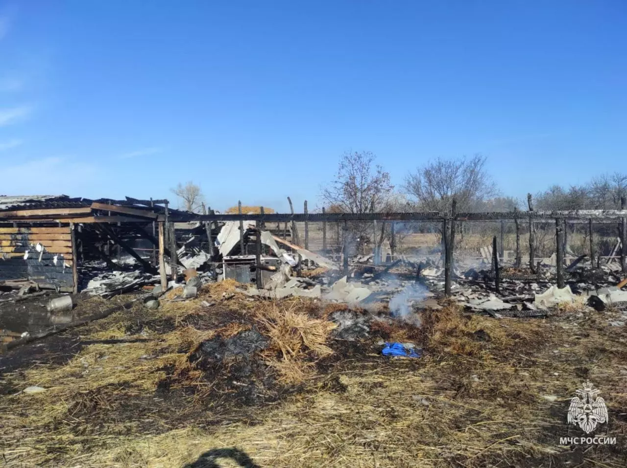 Из-за оставленного в сети электроприбора сгорел коровник в Ростовской области