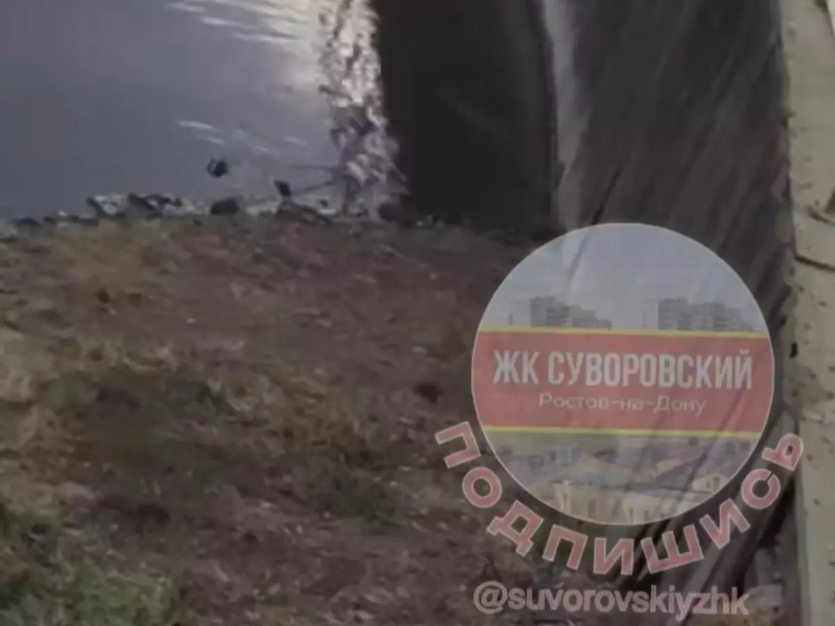 В Суворовском реку Темерник облюбовали полчища крыс