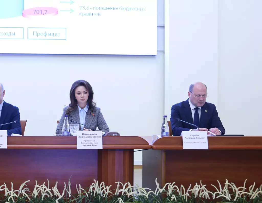 В Ростовской городской думе рассказали о реализации социальной помощи через социальный контракт