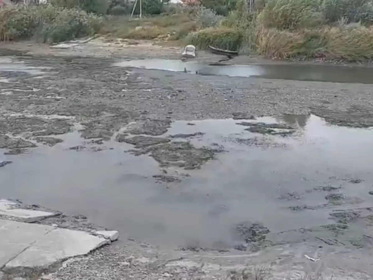 Река Азовка в Ростовской области критически обмелела из-за ветра