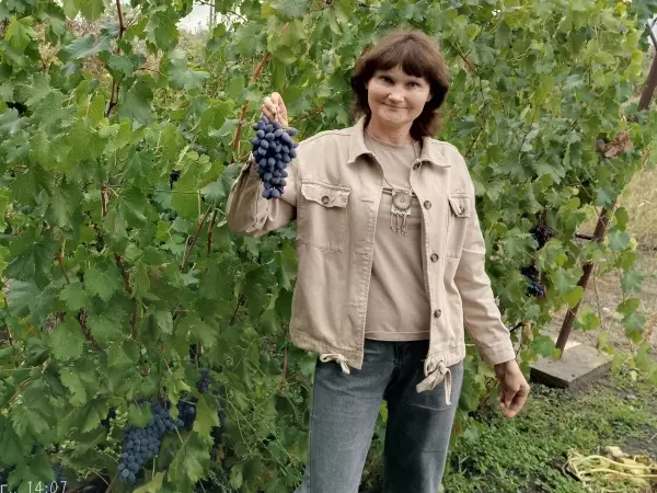 Фото к материалу: Дачница из Ростовской области рассказала, как правильно посадить виноград