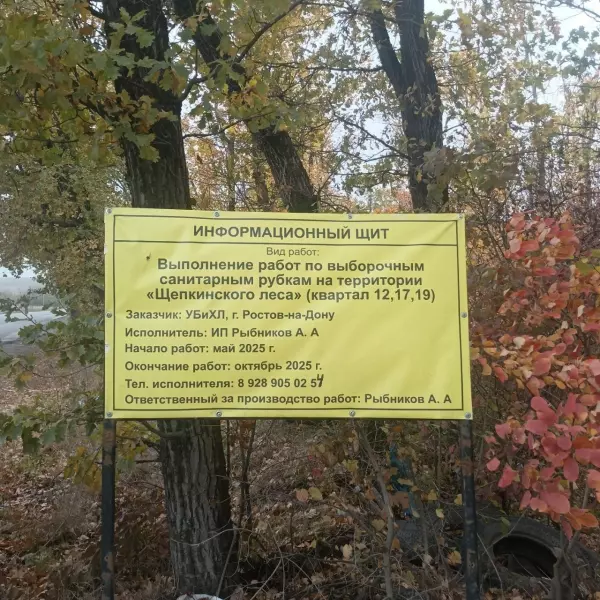 Фото к материалу: В Щепкинском лесу Ростова-на-Дону вырубят 4,3 тысячи деревьев