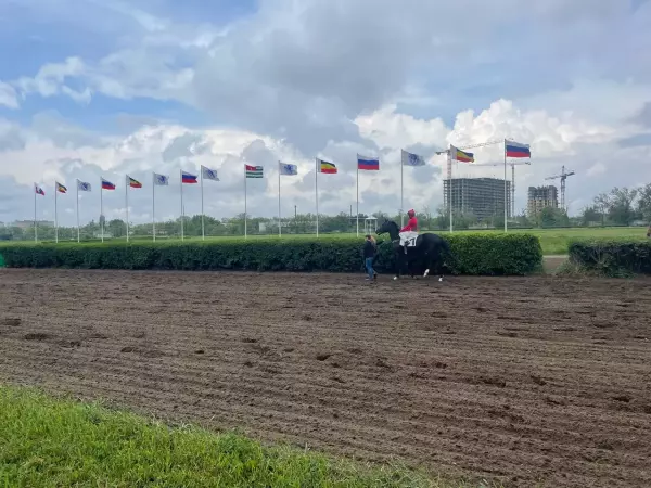 Генпрокуратура проверит законность передачи ростовского ипподрома в частную собственность Фото к материалу: Генпрокуратура проверит законность передачи ростовского ипподрома в частную собственность