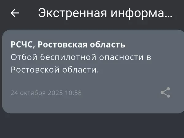 Фото к материалу: Отбой беспилотной опасности объявили утром 24 октября в Ростовской области