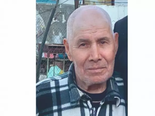 Фото к материалу: К поискам пропавшего без вести 86-летнего пенсионера из Шахт подключились волонтеры