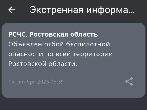Фото к материалу: Отбой беспилотной опасности объявили по всей Ростовской области 16 октября