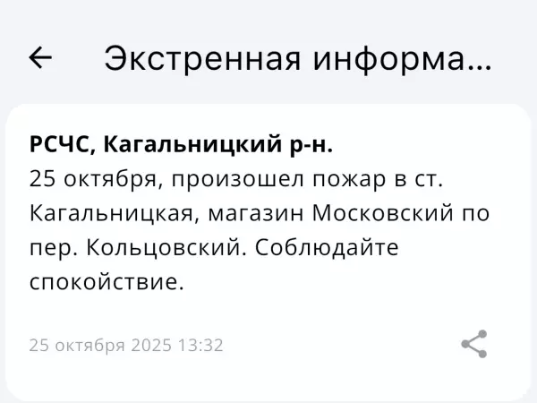 Фото к материалу: В Ростовской области тушат загоревшийся магазин
