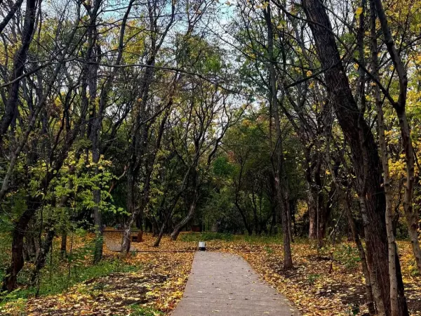 Фото к материалу: На предстоящих выходных в Ростове похолодает до +5 градусов