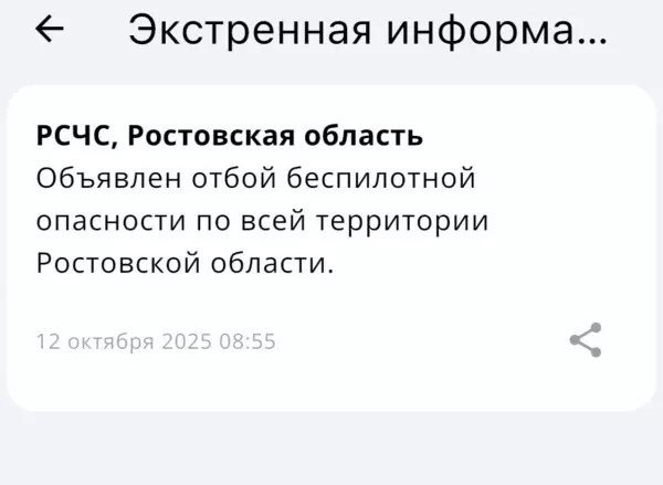 Фото к материалу: Отбой беспилотной опасности объявили утром 12 октября в Ростовской области