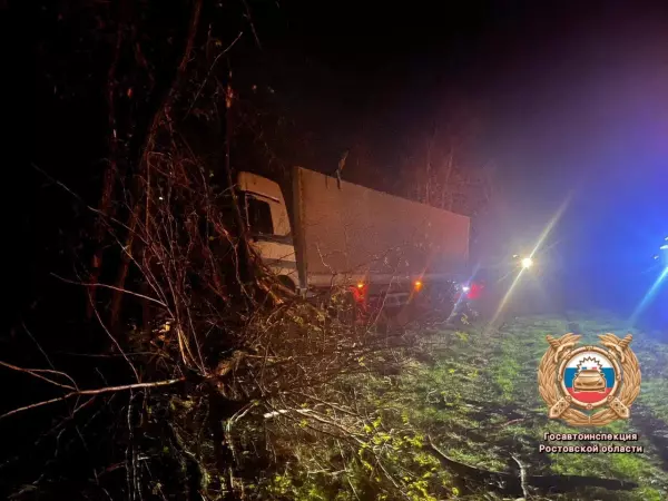 Фото к материалу: В Ростовской области водитель грузовика врезался в дерево