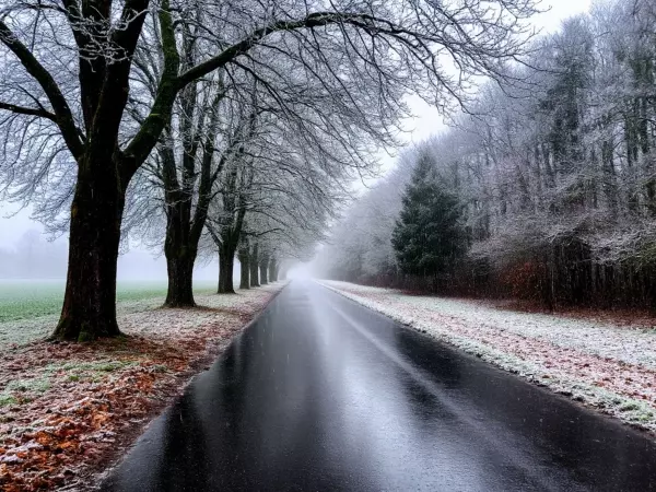 Синоптик Елена Назарова: Морозы и дожди придут в Ростовскую область в ноябре Фото к материалу: Синоптик Елена Назарова: Морозы и дожди придут в Ростовскую область в ноябре