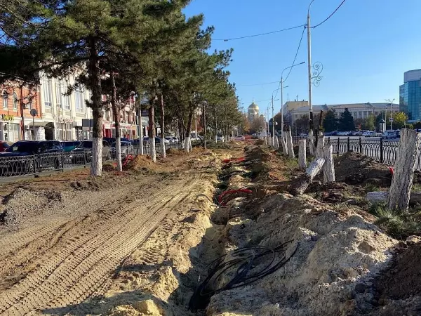 Фото к материалу: В Новочеркасске вырубленные здоровые ели по документам были признаны аварийными