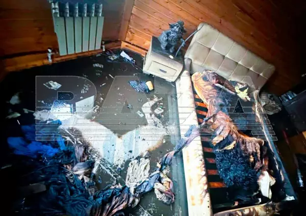 Фото к материалу: Убийство или жертвоприношение: в Балашихе при загадочных обстоятельствах погибла супружеская пара