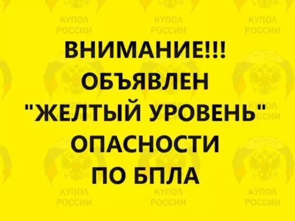 Фото к материалу: На севере Ростовской области объявлен желтый уровень беспилотной опасности