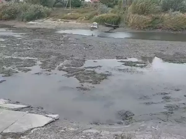 Фото к материалу: Река Азовка в Ростовской области критически обмелела из-за ветра