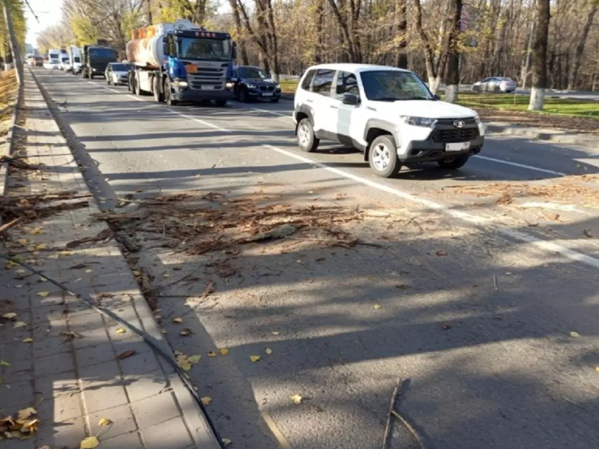 В Ростове убрали дерево, перегородившее дорогу на Шолохова