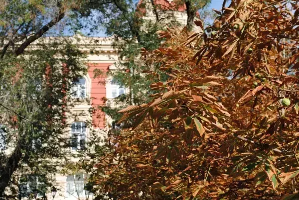 В Ростове на новой рабочей неделе потеплеет до +13 градусов