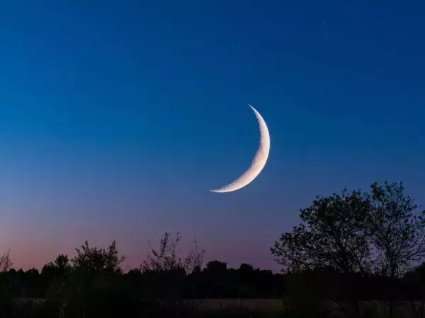 О влиянии новолуния в Скорпионе 20 ноября рассказала астролог из Ростовской области