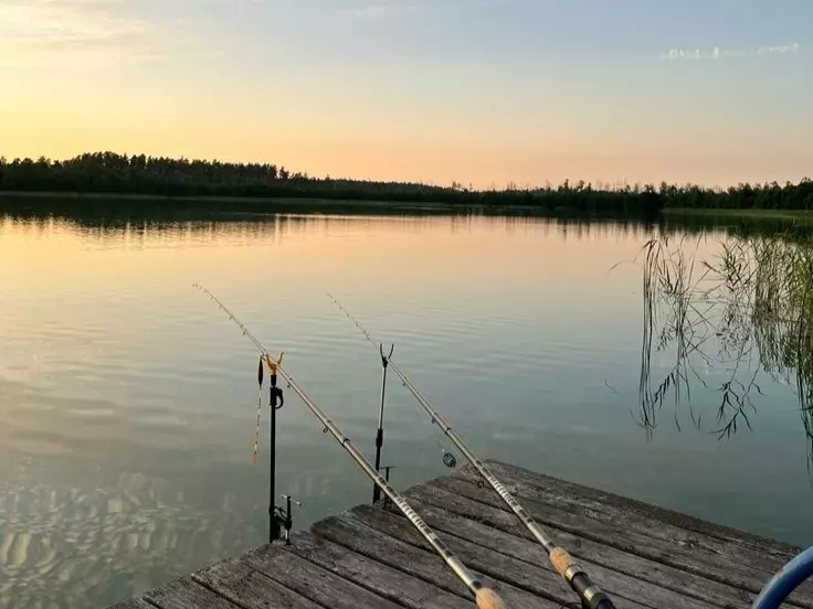 Рыбакам из Ростовской области напомнили, какую рыбу нельзя ловить в водоемах региона