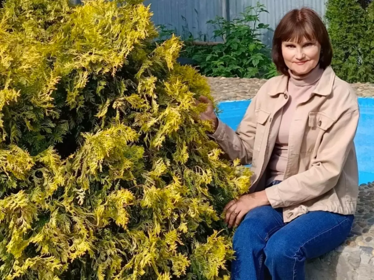 Дачница из Ростовской области поделилась правилами, которые нужно учитывать при посадке хвойных растений