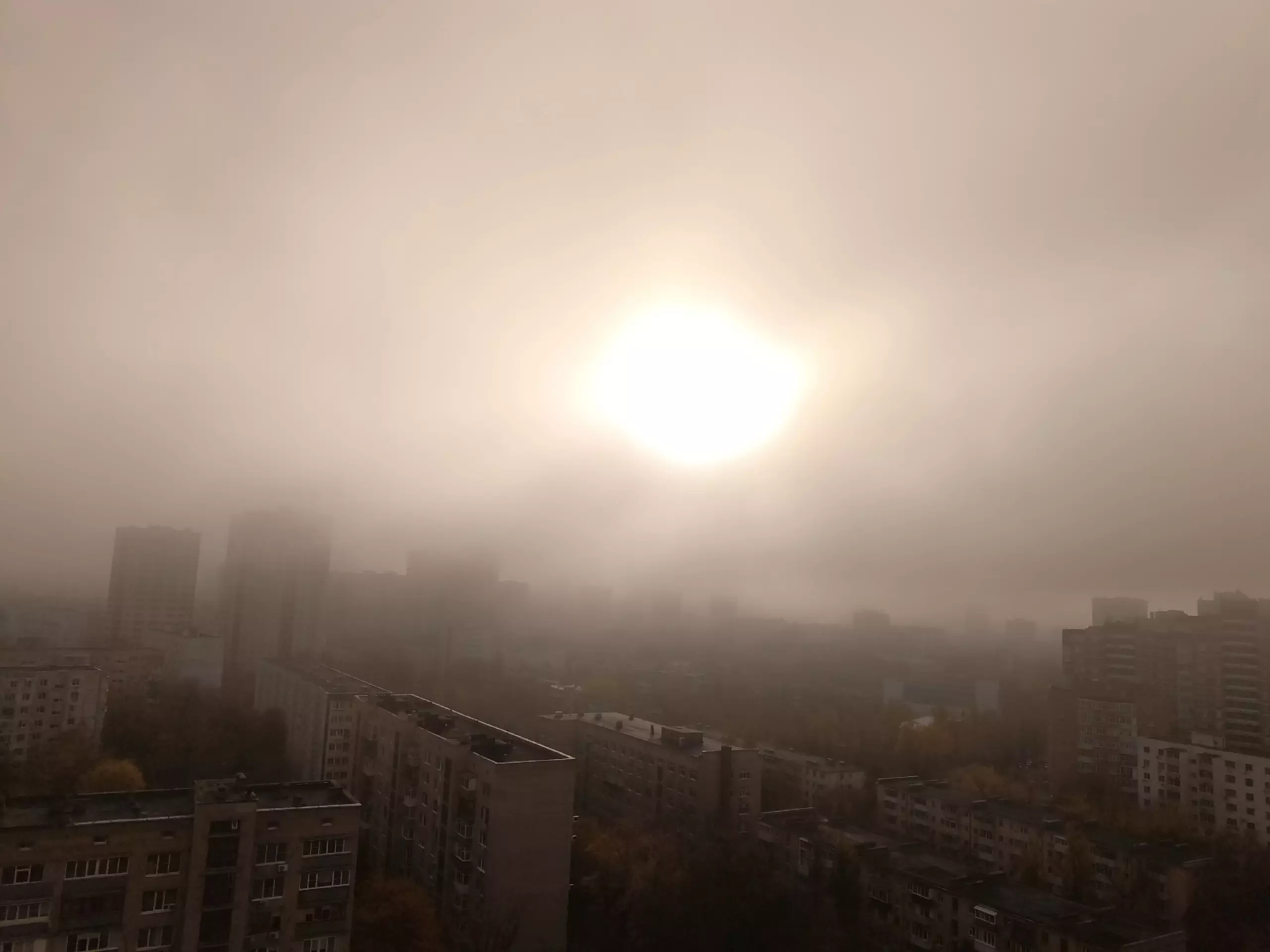 В Ростовской области объявлен желтый уровень погодной опасности из-за тумана