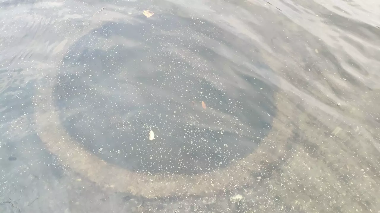 Найденный в реке Северский Донец пулеметный колпак времен ВОВ станет экспонатом