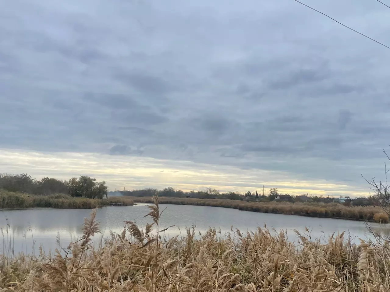 В Ростовской области с 15 ноября вводятся сезонные ограничения на вылов рыбы