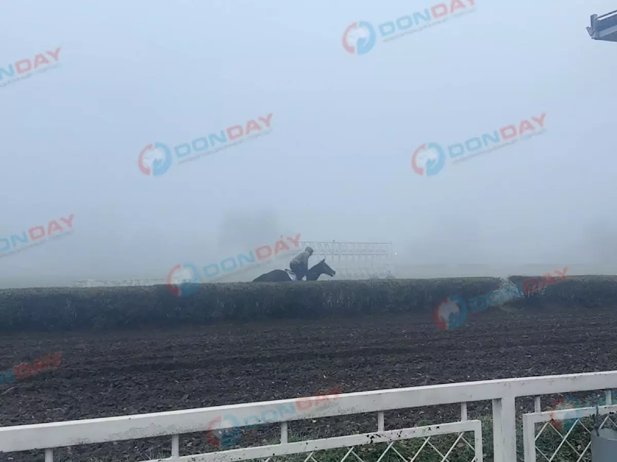 Владелец Ростовского ипподрома отказал конникам в отсрочке закрытия объекта