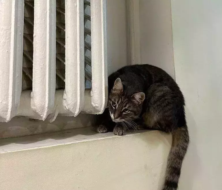 В городе Ростовской области без отопления остались 42 дома