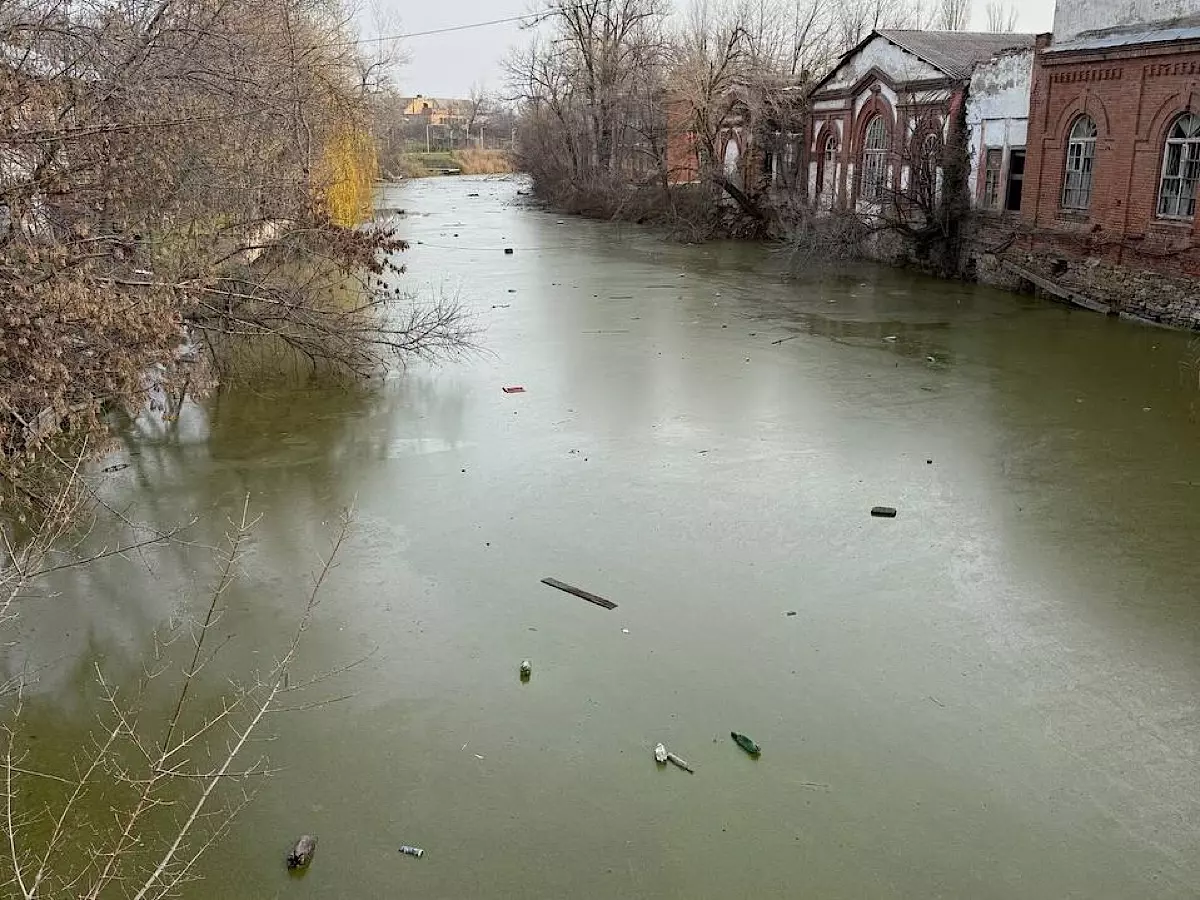 Росприроднадзор проверит информацию о загрязнении реки в Красном Сулине