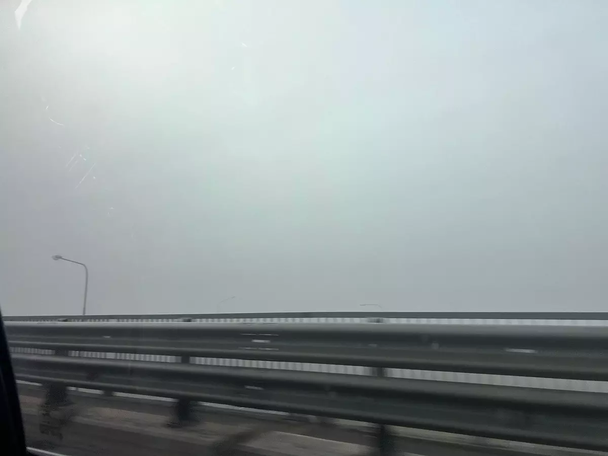 На Ростовскую область 11 ноября опустился туман