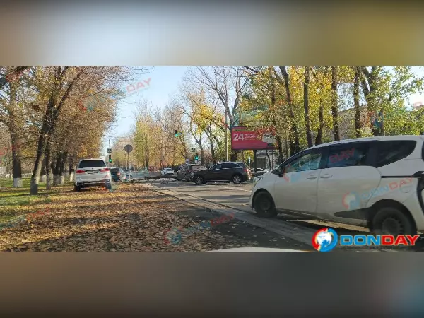 Гигантская пробка образовалась на Шолохова из-за упавшего дерева в Ростове