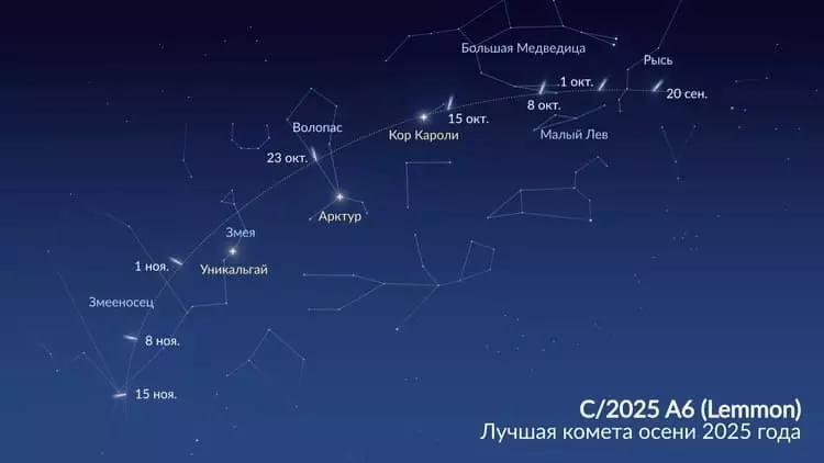 Метеорный поток, яркое Суперлуние: что еще можно увидеть в Ростовской области в ноябре