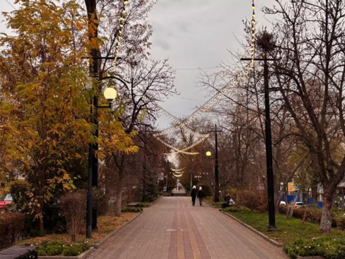 В Ростове запретят ночью ездить на машине по Пушкинской